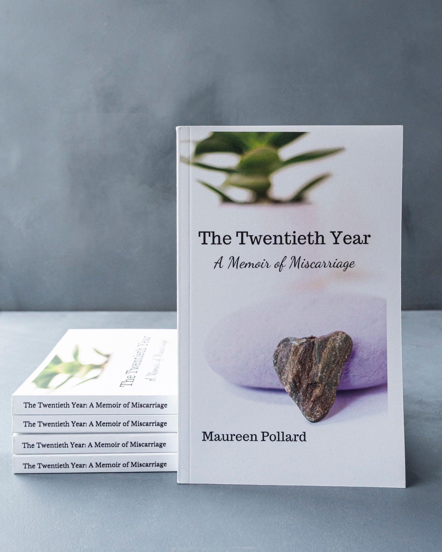 The Twentieth Year: A Memoir of Miscarriage